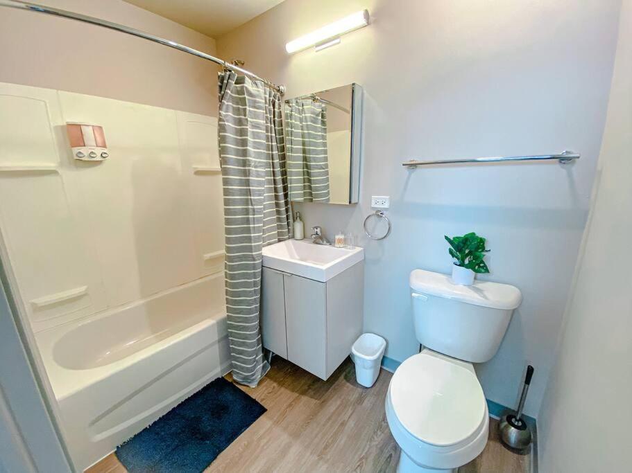 Modern 2Br In South Loop Near Soldier Field, Grant Park, Downtown, & Lakefront Trail Chicago Luaran gambar